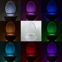LED Toilet Bowl Light