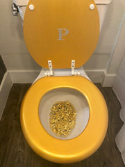 Iced Out Custom Initial Toilet Seat (K-O)(More Colors) - So Epic Creations
