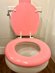 Pink & Silver Bling Hand Painted Toilet Seat Set